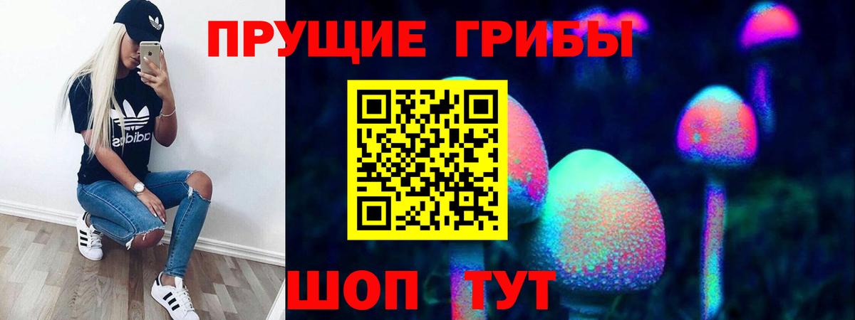 Магадан  Галлюциногенные грибы Cubensis  Вход с VPN  Псилоцибиновые грибы мицелий 